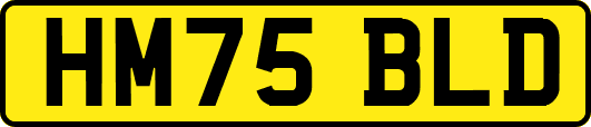 HM75BLD