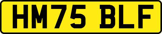 HM75BLF