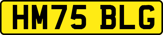 HM75BLG