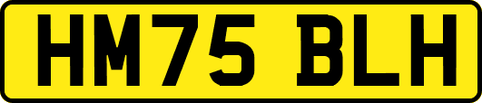 HM75BLH
