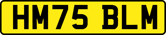 HM75BLM