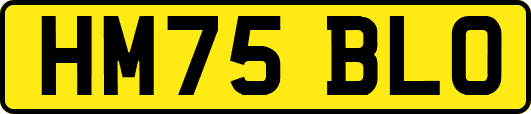 HM75BLO