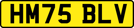 HM75BLV