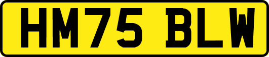 HM75BLW