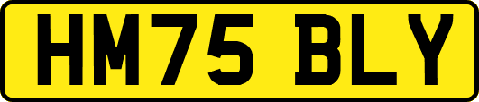 HM75BLY