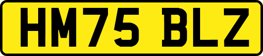 HM75BLZ