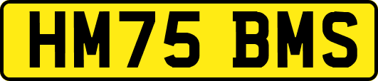 HM75BMS