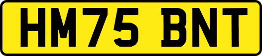 HM75BNT
