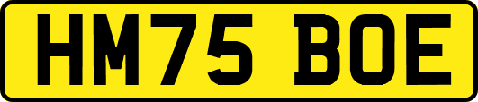 HM75BOE