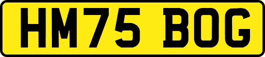 HM75BOG