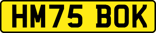 HM75BOK