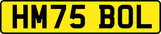 HM75BOL