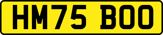 HM75BOO