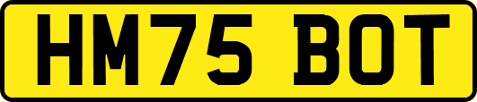 HM75BOT