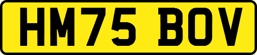 HM75BOV