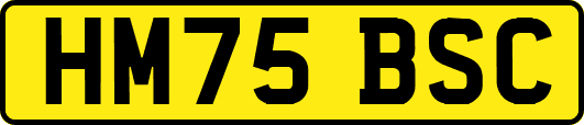 HM75BSC