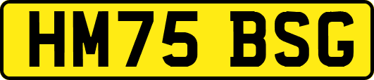HM75BSG