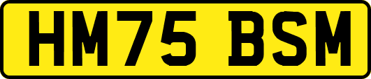 HM75BSM