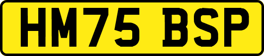 HM75BSP