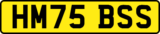HM75BSS