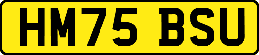 HM75BSU