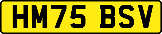 HM75BSV