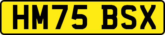 HM75BSX