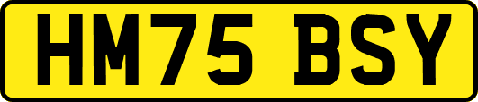HM75BSY