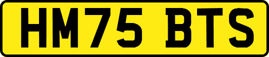 HM75BTS