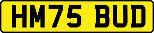HM75BUD