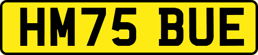 HM75BUE