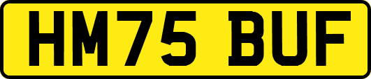 HM75BUF