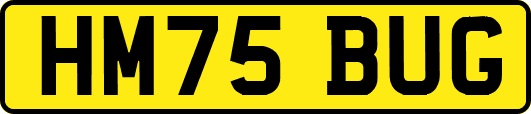 HM75BUG