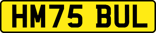 HM75BUL