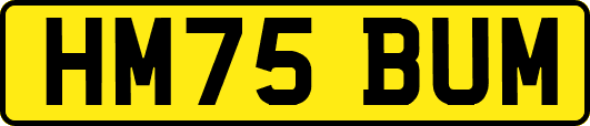 HM75BUM