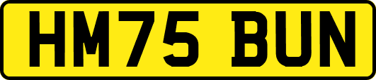 HM75BUN