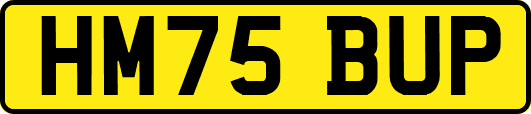 HM75BUP