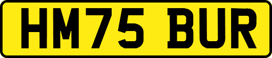 HM75BUR