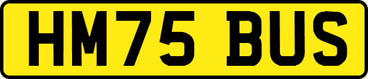 HM75BUS