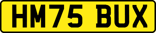 HM75BUX