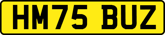 HM75BUZ
