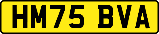 HM75BVA