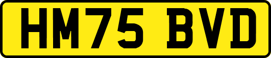 HM75BVD