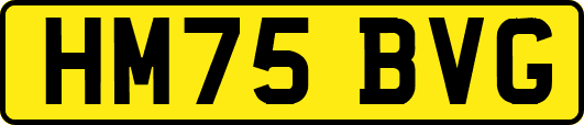 HM75BVG