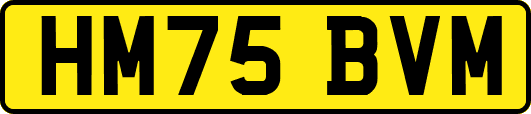 HM75BVM