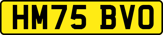HM75BVO