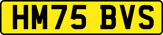 HM75BVS