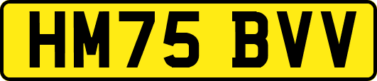 HM75BVV