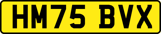 HM75BVX