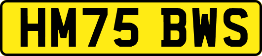 HM75BWS